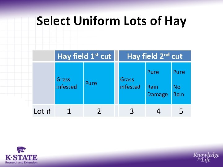 Select Uniform Lots of Hay field 1 st cut Grass infested Lot # 1