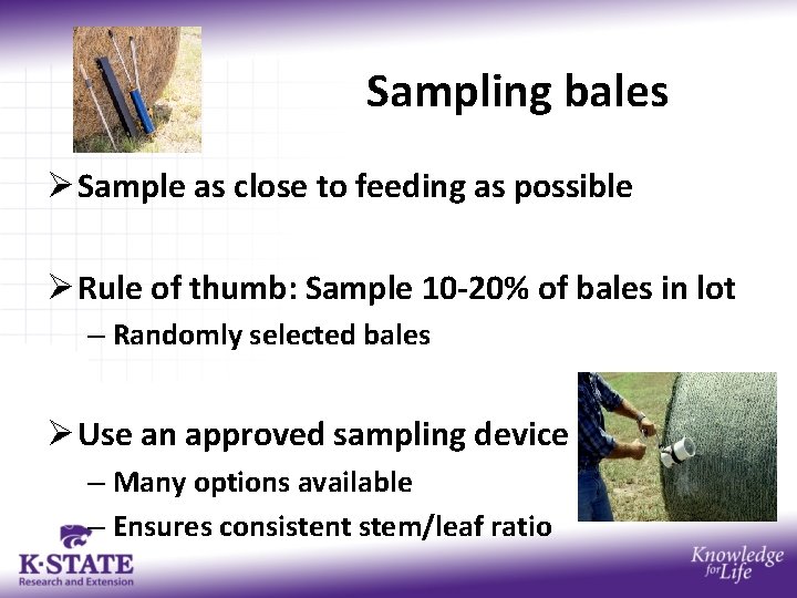 Sampling bales Ø Sample as close to feeding as possible Ø Rule of thumb: