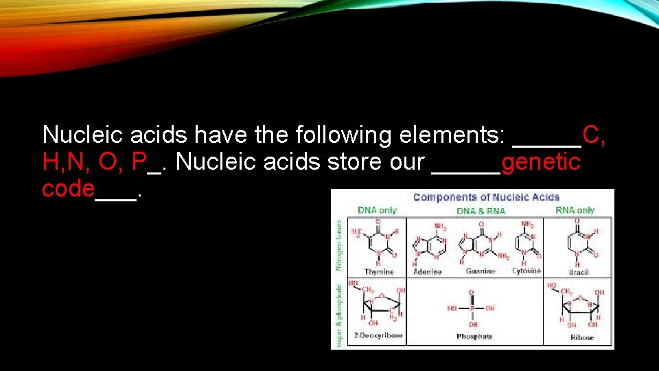 Nucleic acids have the following elements: _____C, H, N, O, P_. Nucleic acids store