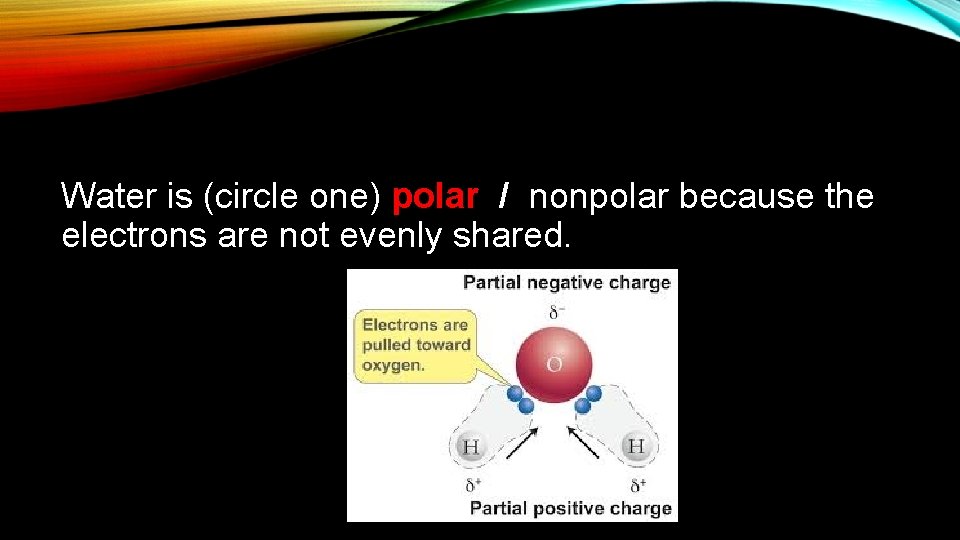 Water is (circle one) polar / nonpolar because the electrons are not evenly shared.