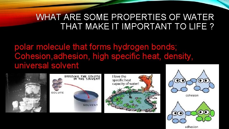 WHAT ARE SOME PROPERTIES OF WATER THAT MAKE IT IMPORTANT TO LIFE ? polar