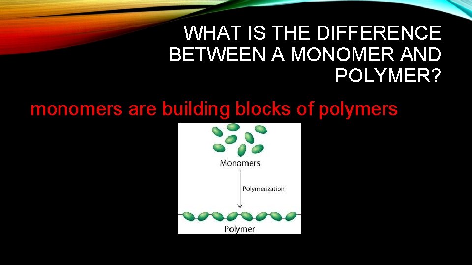 WHAT IS THE DIFFERENCE BETWEEN A MONOMER AND POLYMER? monomers are building blocks of