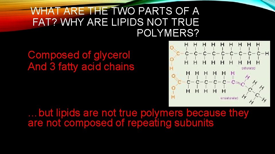 WHAT ARE THE TWO PARTS OF A FAT? WHY ARE LIPIDS NOT TRUE POLYMERS?