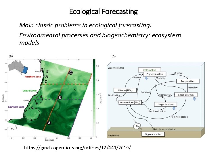 Ecological Forecasting Main classic problems in ecological forecasting: Environmental processes and biogeochemistry: ecosystem models