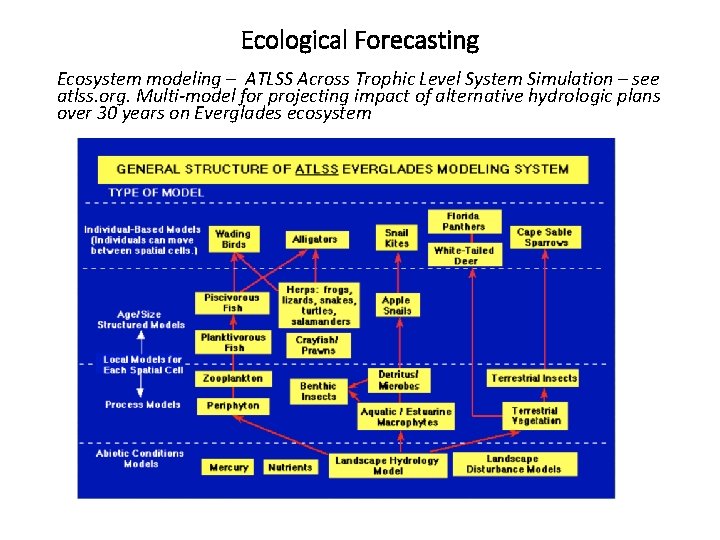 Ecological Forecasting Ecosystem modeling – ATLSS Across Trophic Level System Simulation – see atlss.