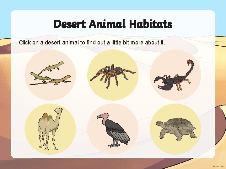 Desert Animal Habitats Click on a desert animal to find out a little bit