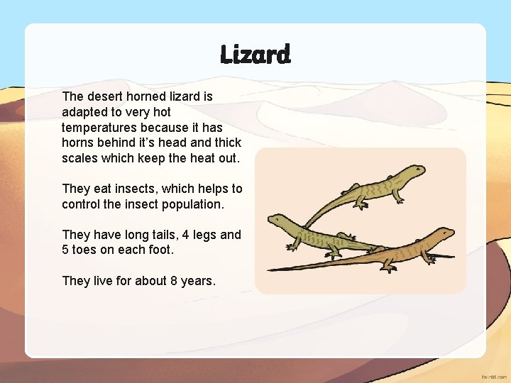 Lizard The desert horned lizard is adapted to very hot temperatures because it has