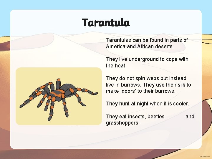 Tarantulas can be found in parts of America and African deserts. They live underground
