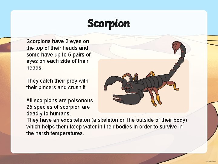 Scorpions have 2 eyes on the top of their heads and some have up
