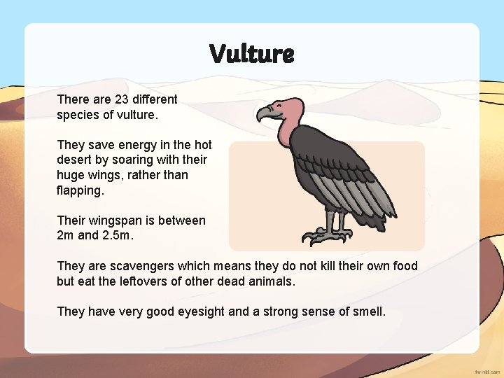 Vulture There are 23 different species of vulture. They save energy in the hot