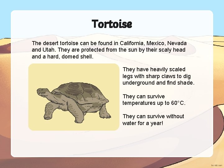 Tortoise The desert tortoise can be found in California, Mexico, Nevada and Utah. They