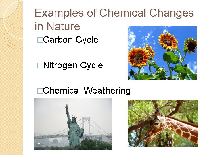 Examples of Chemical Changes in Nature �Carbon Cycle �Nitrogen Cycle �Chemical Weathering 