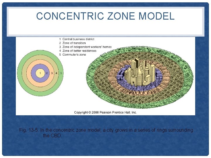 CONCENTRIC ZONE MODEL Fig. 13 -5: In the concentric zone model, a city grows