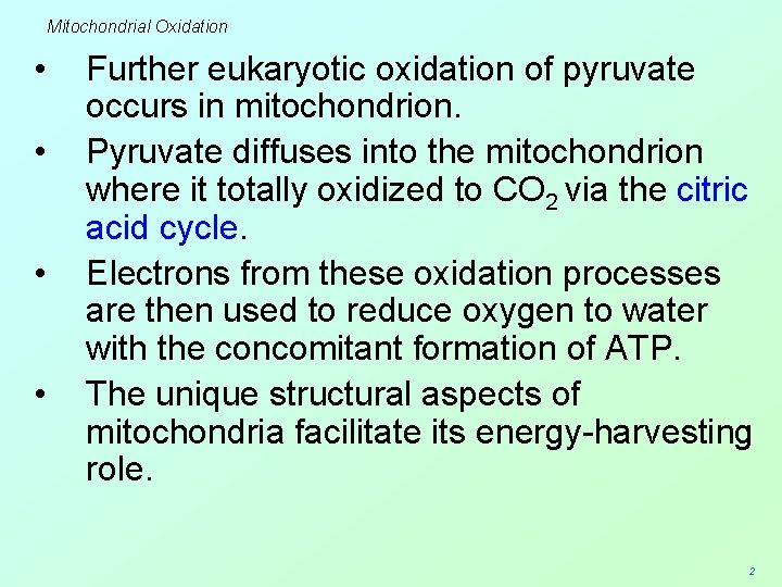 Mitochondrial Oxidation • • Further eukaryotic oxidation of pyruvate occurs in mitochondrion. Pyruvate diffuses
