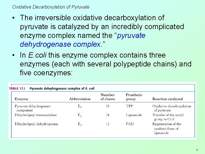 Oxidative Decarboxylation of Pyruvate • The irreversible oxidative decarboxylation of pyruvate is catalyzed by