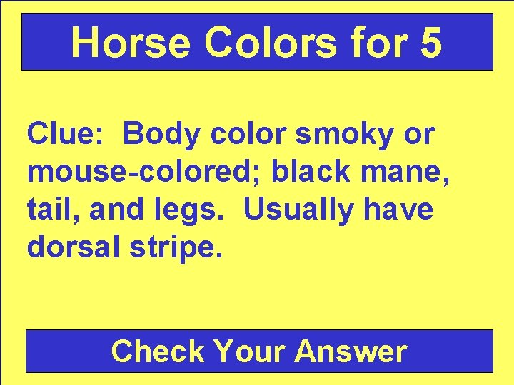 Horse Colors for 5 Clue: Body color smoky or mouse-colored; black mane, tail, and