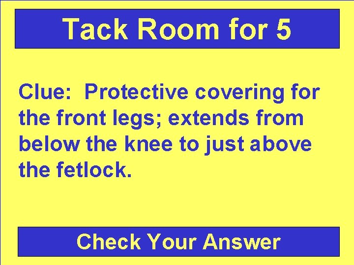 Tack Room for 5 Clue: Protective covering for the front legs; extends from below