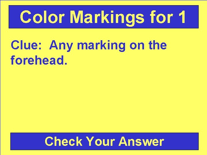 Color Markings for 1 Clue: Any marking on the forehead. Check Your Answer 