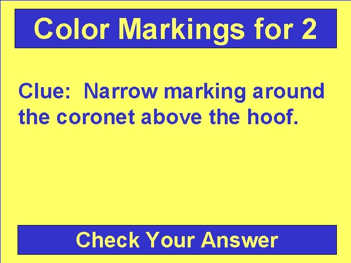 Color Markings for 2 Clue: Narrow marking around the coronet above the hoof. Check