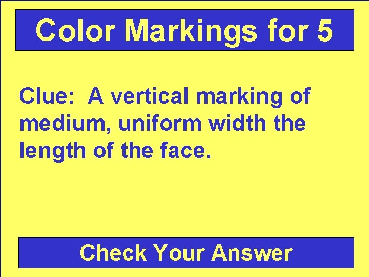 Color Markings for 5 Clue: A vertical marking of medium, uniform width the length