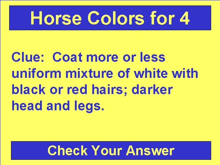 Horse Colors for 4 Clue: Coat more or less uniform mixture of white with