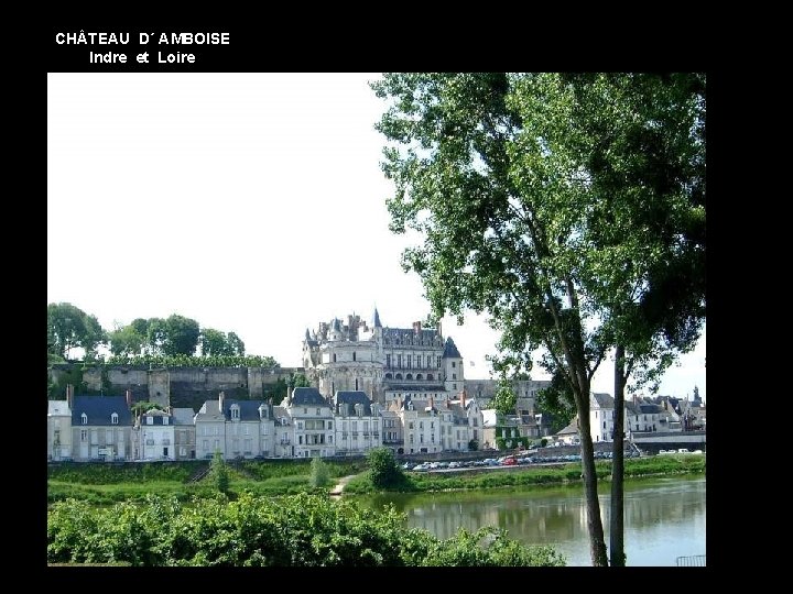 CH TEAU D´ AMBOISE Indre et Loire 
