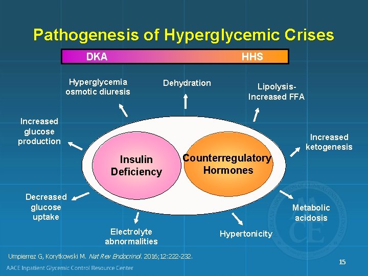 Pathogenesis of Hyperglycemic Crises DKA HHS Hyperglycemia osmotic diuresis Dehydration Lipolysis. Increased FFA Increased