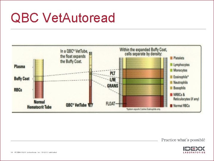 QBC Vet. Autoread 14 © 2004 IDEXX Laboratories, Inc. , IDEXX Confidential 