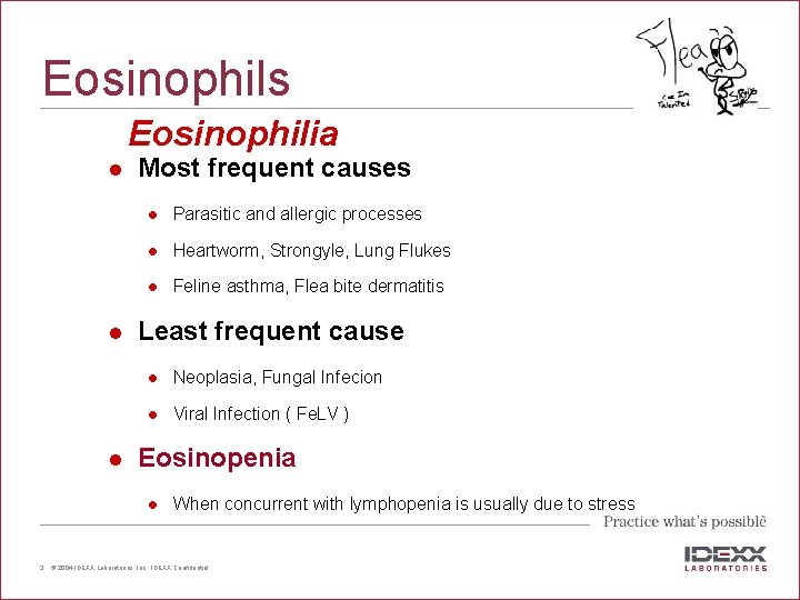 Eosinophils Eosinophilia l l l Most frequent causes l Parasitic and allergic processes l