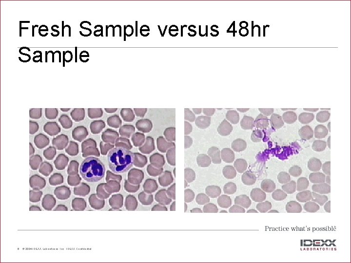 Fresh Sample versus 48 hr Sample 6 © 2004 IDEXX Laboratories, Inc. , IDEXX