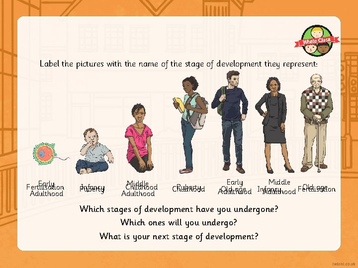 Label the pictures with the name of the stage of development they represent: Early