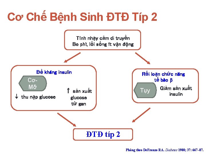 Cơ Chế Bệnh Sinh ĐTĐ Típ 2 Tính nhạy cảm di truyền Bo phì,