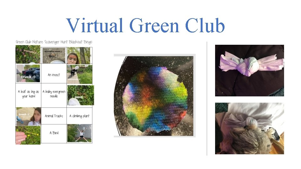 Virtual Green Club 