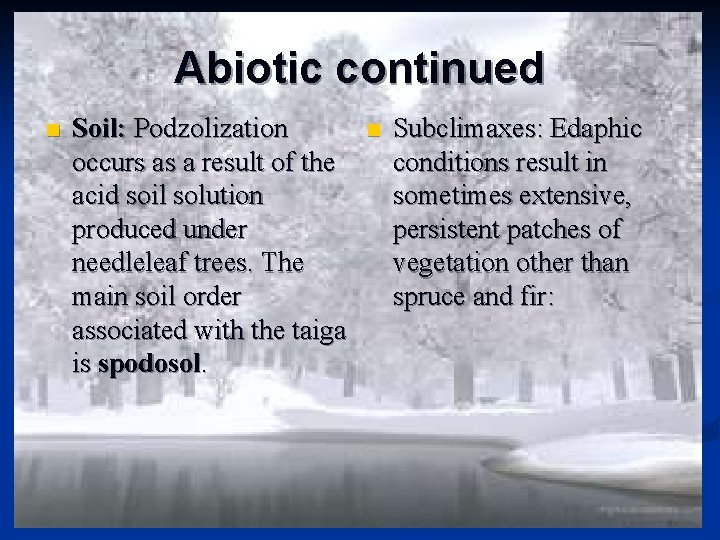 Abiotic continued n Soil: Podzolization occurs as a result of the acid soil solution