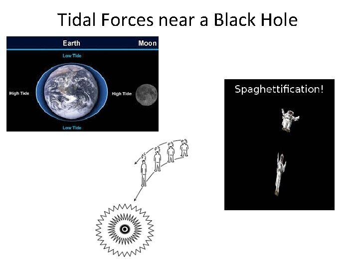 Tidal Forces near a Black Hole 