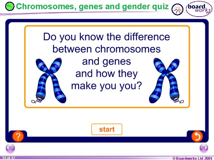 Chromosomes, genes and gender quiz 14 of 47 © Boardworks Ltd 2004 