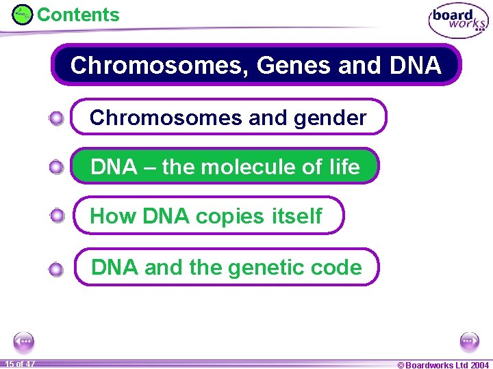 Contents Chromosomes, Genes and DNA Chromosomes and gender DNA – the molecule of life