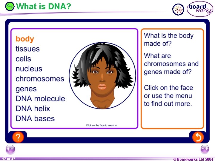 What is DNA? 17 of 47 © Boardworks Ltd 2004 