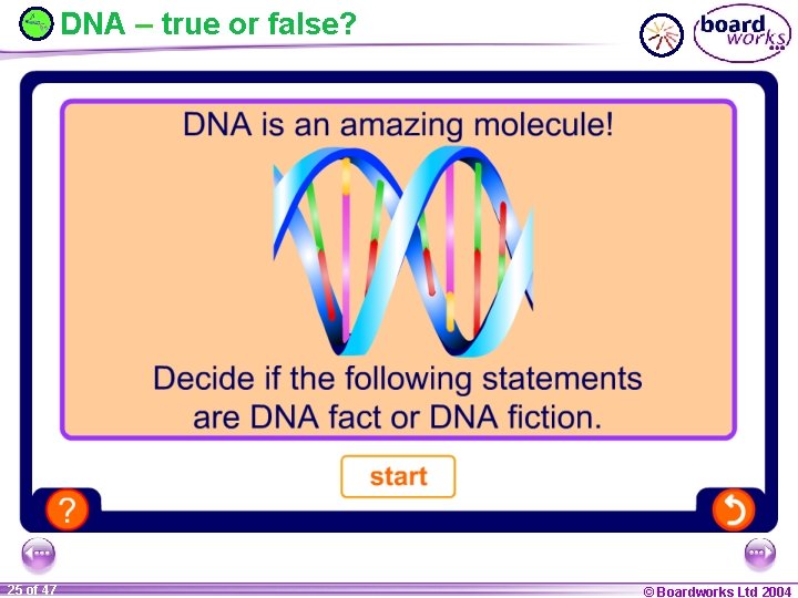 DNA – true or false? 25 of 47 © Boardworks Ltd 2004 