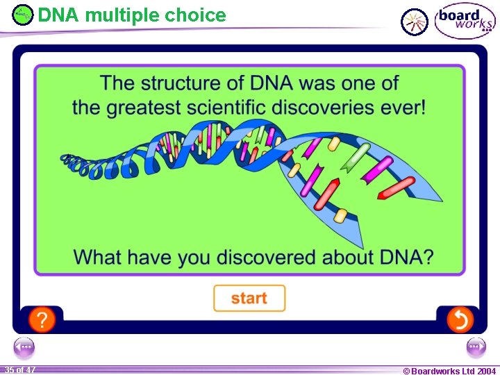 DNA multiple choice 35 of 47 © Boardworks Ltd 2004 