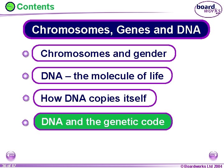 Contents Chromosomes, Genes and DNA Chromosomes and gender DNA – the molecule of life