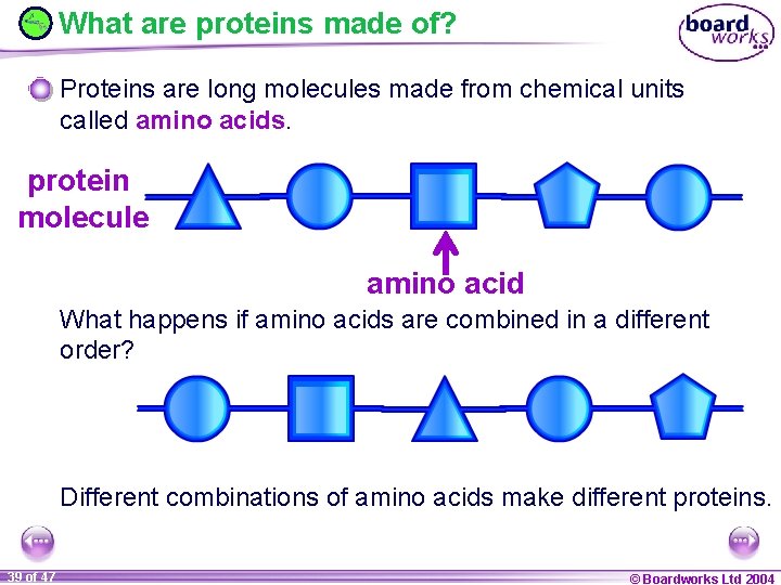 What are proteins made of? Proteins are long molecules made from chemical units called