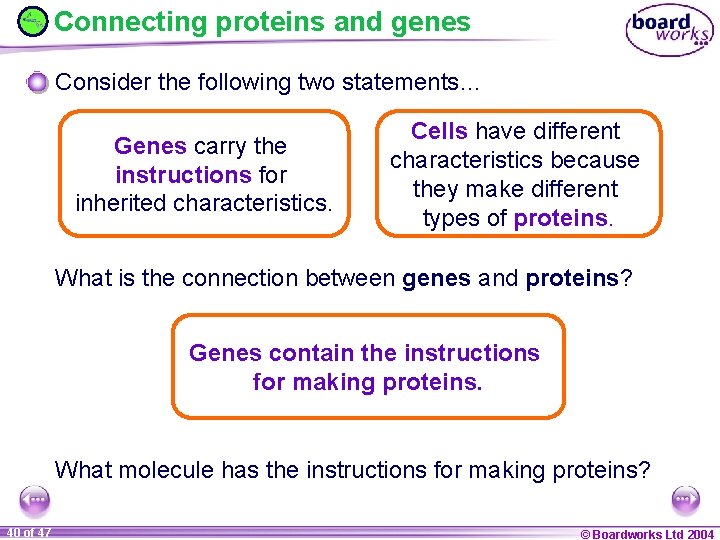 Connecting proteins and genes Consider the following two statements… Genes carry the instructions for