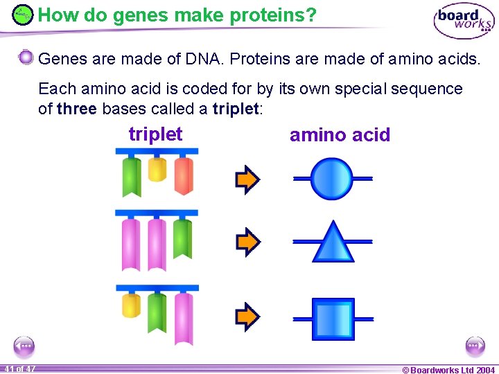 How do genes make proteins? Genes are made of DNA. Proteins are made of