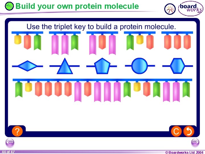 Build your own protein molecule 44 of 47 © Boardworks Ltd 2004 