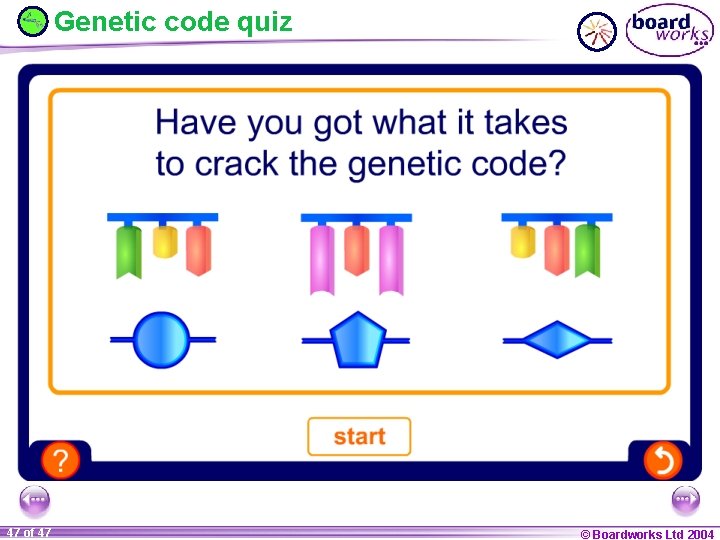 Genetic code quiz 47 of 47 © Boardworks Ltd 2004 
