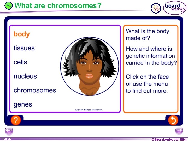 What are chromosomes? 5 of 47 © Boardworks Ltd 2004 