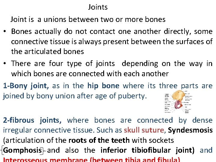 Joints Joint is a unions between two or more bones • Bones actually do