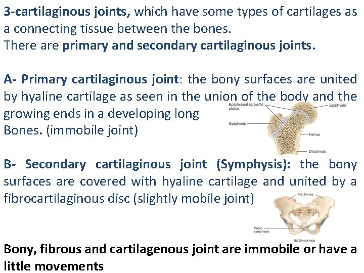 3 -cartilaginous joints, which have some types of cartilages as a connecting tissue between