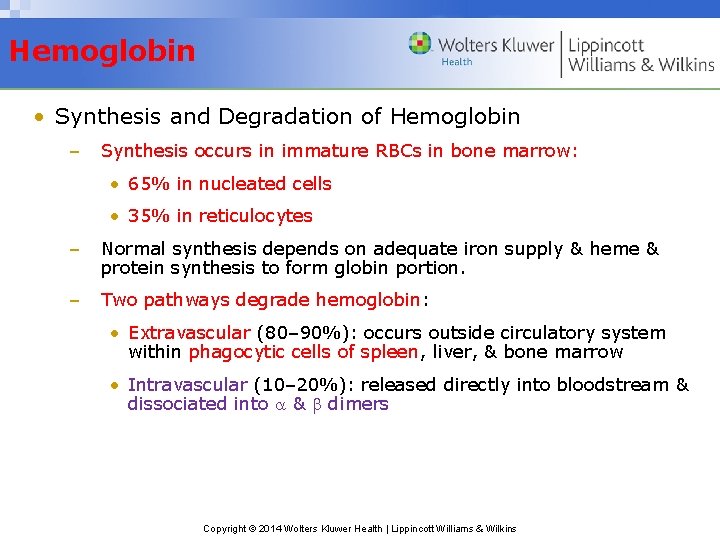 Hemoglobin • Synthesis and Degradation of Hemoglobin – Synthesis occurs in immature RBCs in